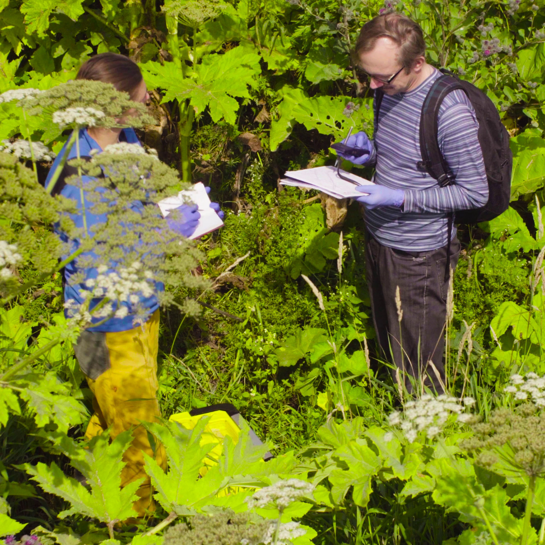 Cheshire habitat bank